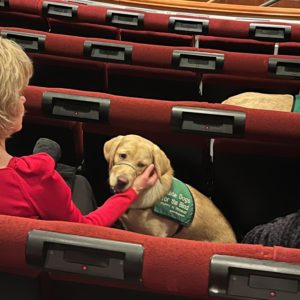 A women pets her golden-furred guide dog in training as they both sit in a row of red theatre seats.