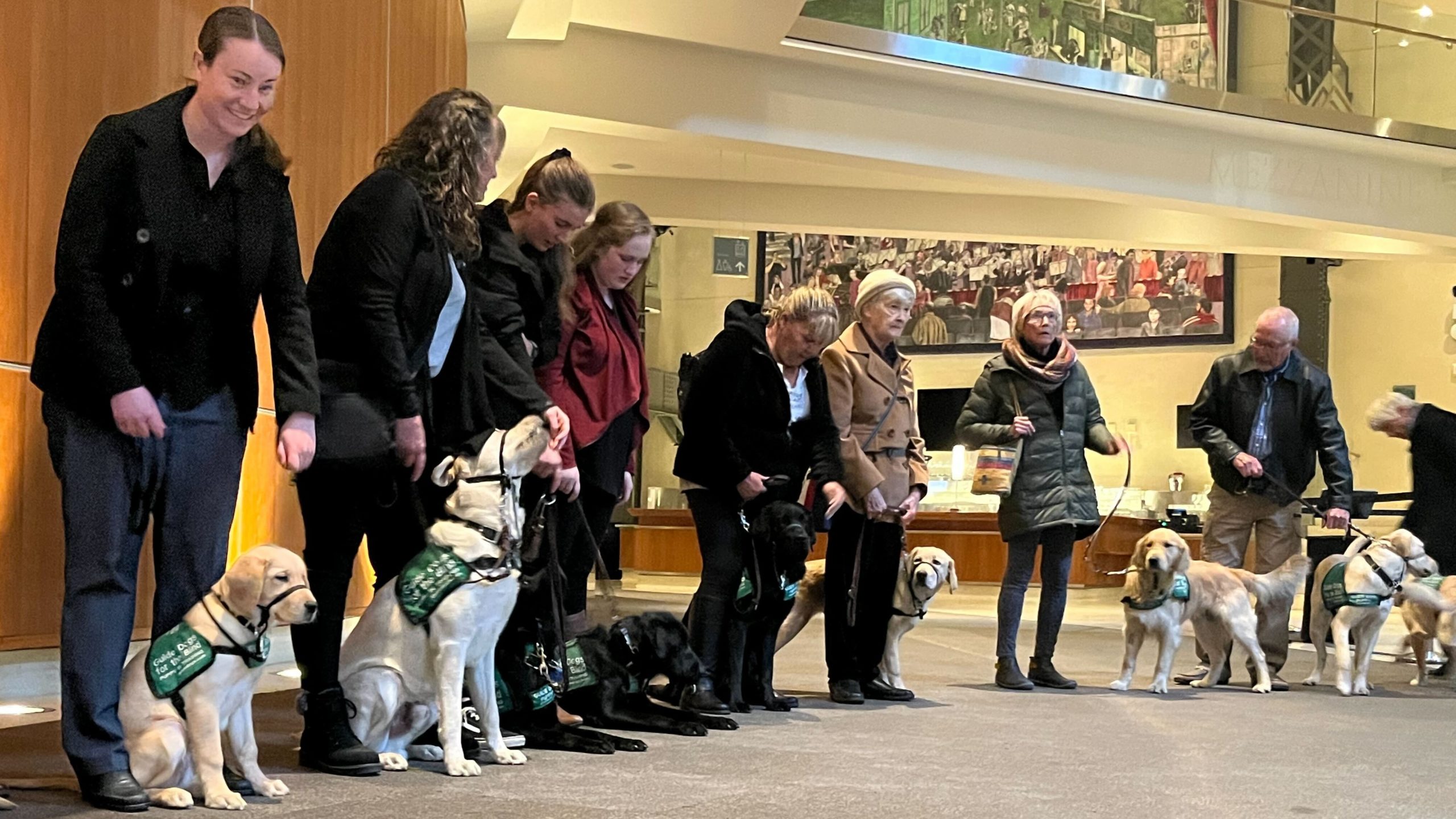 A group of people stand in a line, each holding a guide dog in training on a lease wearing a green bandana.